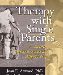 Therapy with Single Parents: A Social Constructionist Approach eBook