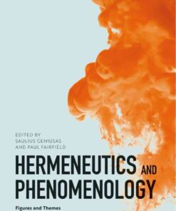 Hermeneutics and Phenomenology: Figures and Themes eBook