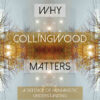 Why Collingwood Matters: A Defence of Humanistic Understanding eBook