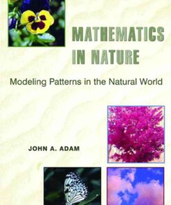 Mathematics in Nature: Modeling Patterns in the Natural World eBook