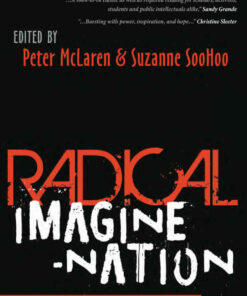 Radical Imagine-Nation: Public Pedagogy & Praxis eBook