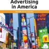 Advertising in America: A Reference Handbook eBook