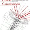 Constructing Critical Consciousness: Narratives that Unmask Hegemony and Ideas for Creating Greater Equity in Education eBook