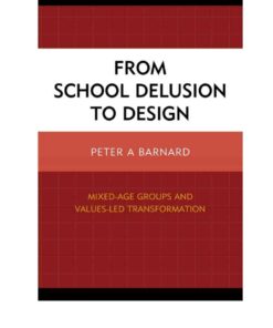 From School Delusion to Design: Mixed-Age Groups and Values-Led Transformation eBook