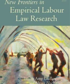 New Frontiers in Empirical Labour Law Research: Facing Outwards eBook
