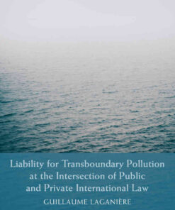 Liability for Transboundary Pollution at the Intersection of Public and Private International Law eBook