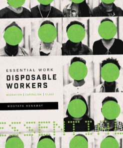 Essential Work, Disposable Workers: Migration, Capitalism and Class eBook