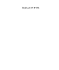Figuration Work: Student Participation, Democracy and University Reform in a Global Knowledge Economy eBook