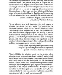 20 Life-Transforming Choices Adoptees Need to Make, Se eBook