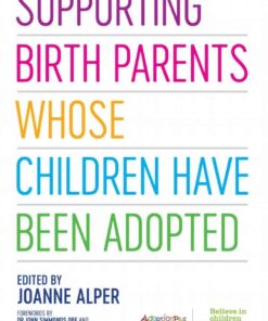 Supporting Birth Parents Whose Children Have Been Adopted eBook