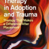 Music Therapy in Adoption and Trauma: Therapy That Makes a Difference After Placement eBook