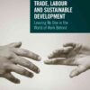 Trade, Labour and Sustainable Development, 1st Edition eBook