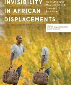 Invisibility in African Displacements: From Structural Marginalization to Strategies of Avoidance eBook