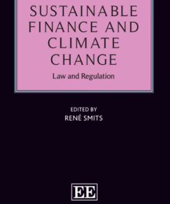 Sustainable Finance and Climate Change, 1st Edition eBook
