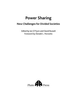 Power Sharing: New Challenges For Divided Societies eBook