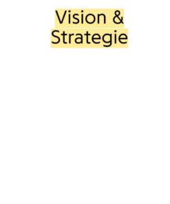 Vision & Strategie: Strategisches Denken für kreative Köpfe eBook