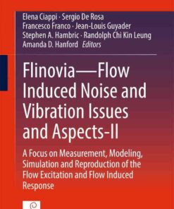 Flinovia—Flow Induced Noise and Vibration Issues and Aspects-II: A Focus on Measurement, Modeling, Simulation and Reproduction of the Flow Excitation and Flow Induced Response eBook