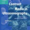 Contrast Media in Ultrasonography: Basic Principles and Clinical Applications eBook