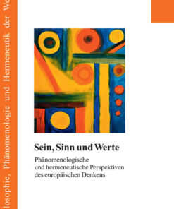 Sein, Sinn und Werte: Phaenomenologische und hermeneutische Perspektiven des europaeischen Denkens eBook