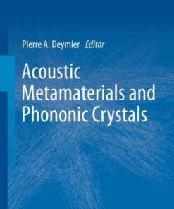 Acoustic Metamaterials and Phononic Crystals eBook