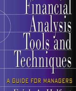 Financial Analysis Tools and Techniques: A Guide for Managers, 1st Edition eBook