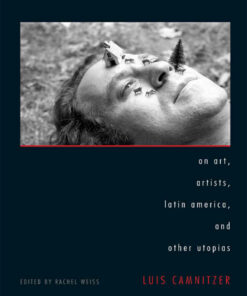 On Art, Artists, Latin America, and Other Utopias eBook