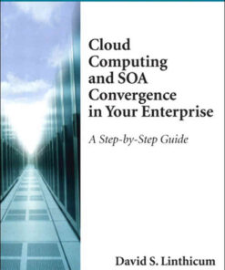 Cloud Computing and SOA Convergence in Your Enterprise: A Step-by-Step Guide, 1st Edition eBook