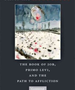 After the Holocaust: The Book of Job, Primo Levi, and the Path to Affliction eBook