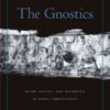 The Gnostics: Myth, Ritual, and Diversity in Early Christianity eBook