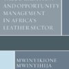 Value Creation and Opportunity Management in Africa's Leather Sector eBook