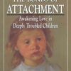 Building the Bonds of Attachment, 2nd Edition eBook