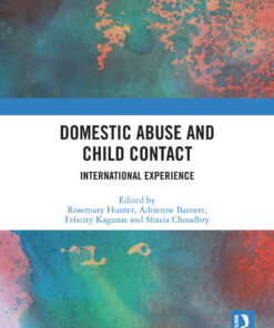 Domestic Abuse and Child Contact: International Experience, 1st Edition eBook