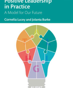 Positive Leadership in Practice: A Model for Our Future, 1st Edition eBook