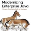 Modernizing Enterprise Java: A Concise Cloud Native Guide for Developers, 1st Edition eBook