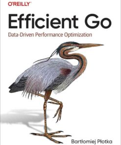 Efficient Go: Data-Driven Performance Optimization, 1st Edition eBook