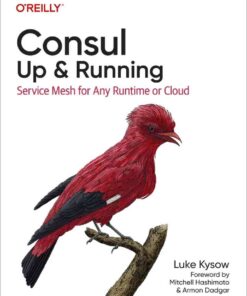 Consul: Up and Running: Service Mesh for Any Runtime or Cloud, 1st Edition eBook