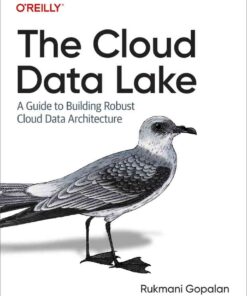 The Cloud Data Lake: A Guide to Building Robust Cloud Data Architecture, 1st Edition eBook