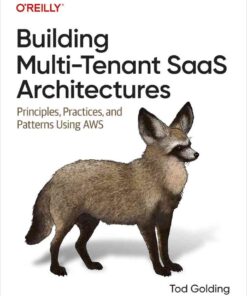Building Multi-Tenant SaaS Architectures: Principles, Practices, and Patterns Using AWS, 1st Edition eBook