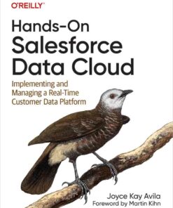 Hands-On Salesforce Data Cloud: Implementing and Managing a Real-Time Customer Data Platform, 1st Edition eBook