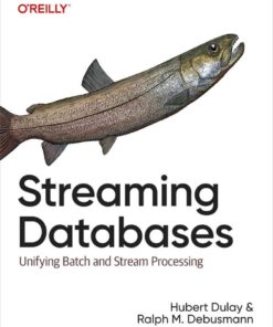 Streaming Databases: Unifying Batch and Stream Processing, 1st Edition eBook
