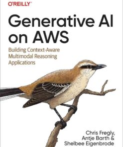 Generative AI on AWS: Building Context-Aware Multimodal Reasoning Applications, 1st Edition eBook