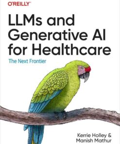 LLMs and Generative AI for Healthcare: The Next Frontier, 1st Edition eBook