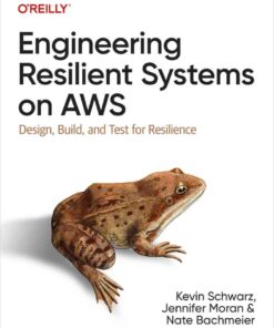 Engineering Resilient Systems on AWS: Design, Build, and Test for Resilience, 1st Edition eBook