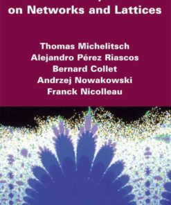 Fractional Dynamics on Networks and Lattices, 1st Edition eBook
