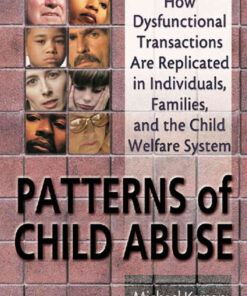 Patterns of Child Abuse: How Dysfunctional Transactions Are Replicated in Individuals, Families, and the Child Welfare System, 1st Edition eBook