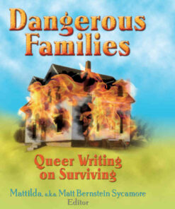 Dangerous Families: Queer Writing on Surviving, 1st Edition eBook