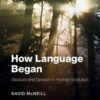 How Language Began: Gesture and Speech in Human Evolution eBook