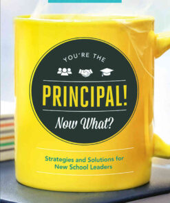 You're the Principal! Now What?: Strategies and Solutions for New School Leaders eBook