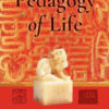 Pedagogy of Life: A Tale of Names and Literacy, 1st Edition eBook