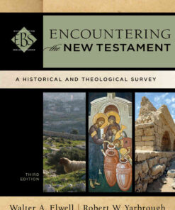 Encountering the New Testament: A Historical and Theological Survey, 3rd Edition eBook